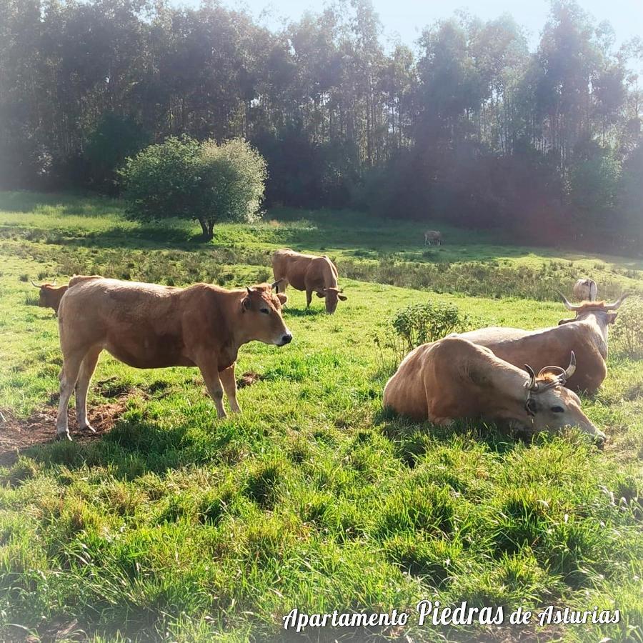 彼德拉斯布兰卡斯Piedras De Asturias公寓 外观 照片